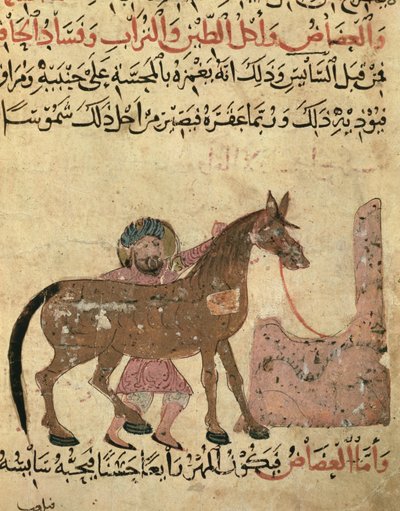 Caring for the horse, illustration from the 